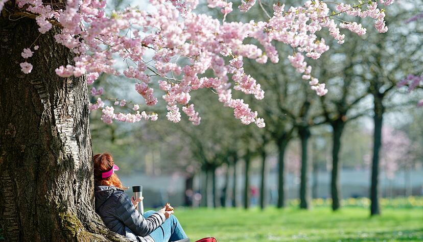 Am Sonntag d&uuml;rfte es vielerorts sonnig und trocken werden. (Archivbild)