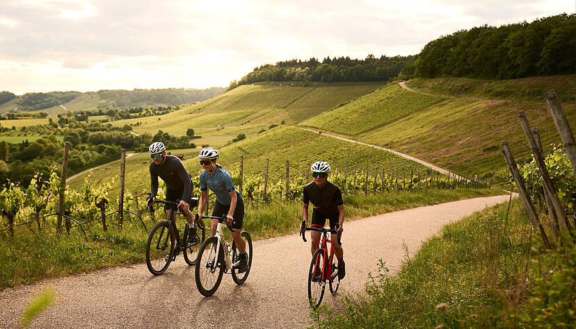 Im Wiegetritt:Radfahren in der Gruppe macht auch im Wein- und H&uuml;gelland des Kraichgau Spa&szlig; - vorausgesetzt, die Ausr&uuml;stung stimmt.