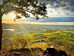 Goldener Oktober: Bei Sonnenschein verwandelt sich die Landschaft rund um Heilbronn in eine spektakuläre Herbstkulisse.