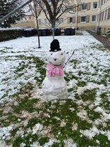 Foto von Oliwia Proscinska.