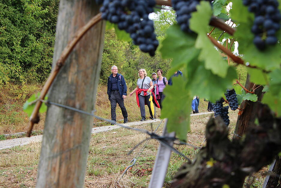 Lesersommer-Wanderung bei Criesbach