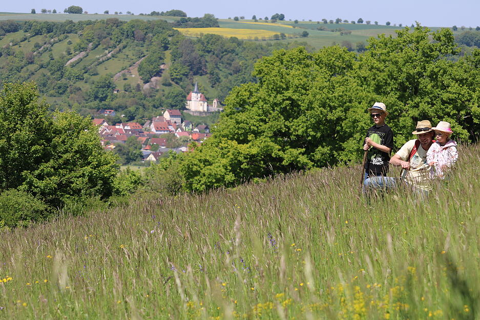 Bei der Jagsttal-Wiesen-Wanderung ging es am Samstag von Ailringen nach Unterregenbach. Auf 19 Kilometern konnten die Wanderer die Landschaft genießen. Bei der Jagsttal-Wiesen-Wanderung ging es am Samstag von Ailringen nach Unterregenbach. Auf 19 Kilometern konnten die Wanderer die Landschaft genießen.