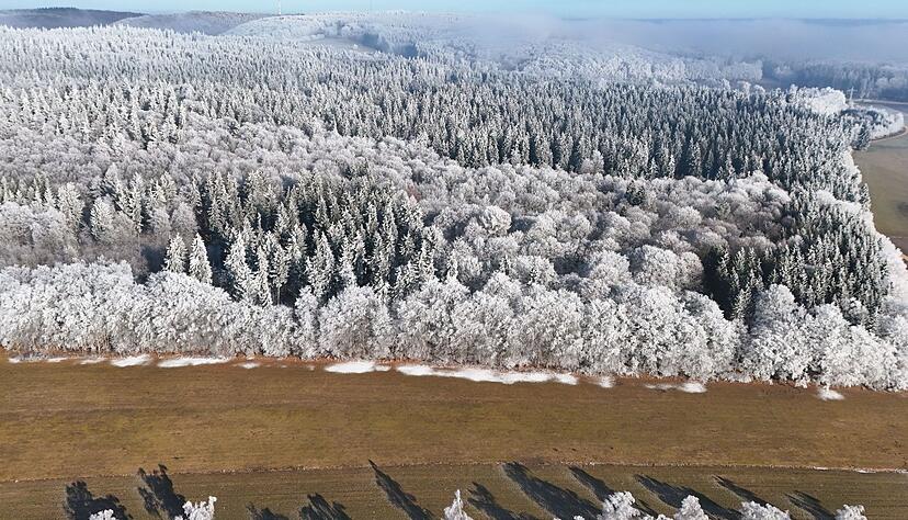 Der Winter im Südwesten zeigt sich aktuell von seiner abwechslungsreichen Seite. (Archivbild) Der Winter im Südwesten zeigt sich aktuell von seiner abwechslungsreichen Seite. (Archivbild)