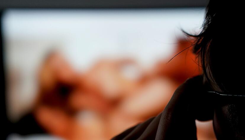 Neben drastischen Gewaltdarstellungen und Volksverhetzung zählt auch Pornografie zu den Themenfeldern, welche die Fachleute im Blick haben. (Symbolbild) Neben drastischen Gewaltdarstellungen und Volksverhetzung zählt auch Pornografie zu den Themenfeldern, welche die Fachleute im Blick haben. (Symbolbild)
