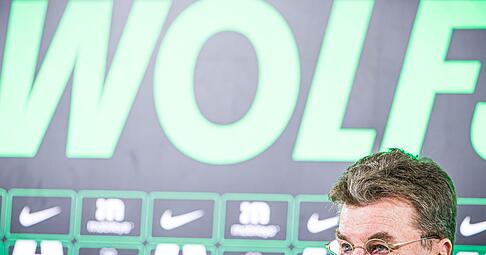 Er soll den VfL Wolfsburg vor dem Abstieg in die 2. Bundesliga retten: Trainer Dieter Hecking. &bdquo;Die Mannschaft hat Qualit&auml;t und hat einen neuen Leitwolf, der sein Bestes versucht&ldquo;, sagt sein Hoffenheimer Trainerkollege Christian Ilzer.