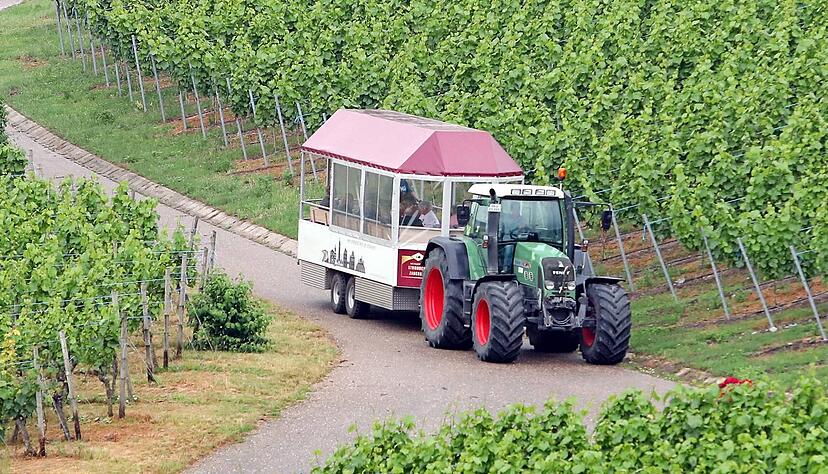 Der Weinbau und die Weinbaulandschaft sind das touristische Aushängeschild der Neckar-Zaber-Region. Ein vom Land gefördertes Projekt soll die Wertschöpfung der örtlichen Weinbaubetriebe fördern − und Lösungen finden. Der Weinbau und die Weinbaulandschaft sind das touristische Aushängeschild der Neckar-Zaber-Region. Ein vom Land gefördertes Projekt soll die Wertschöpfung der örtlichen Weinbaubetriebe fördern − und Lösungen finden.
