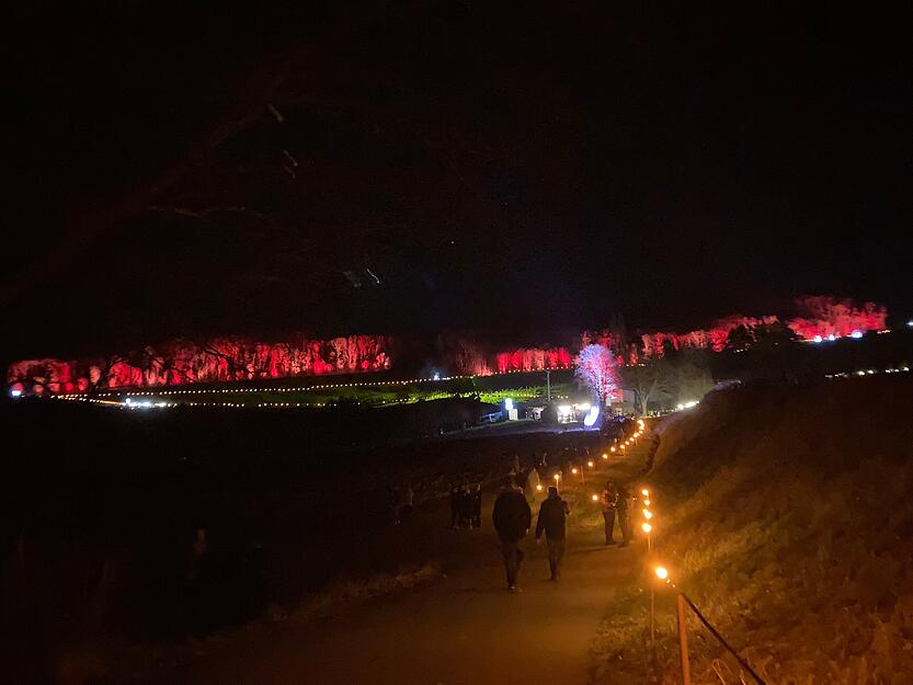 Die Weinlage "Adolzfurter Schneckenhof" war am Wochenende Ziel der Weinfreunde und Genießer. Es war für Gaumen und Augen viel geboten auf dem Rundkurs durch die Rebzeilen.
Fotos: Tscherwitschke