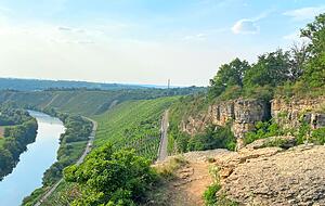 Eine Aussicht, die schwer zu toppen ist. Von den Felsengärten reicht der Blick weit hinein ins Neckartal, hinweg über die reifenden Trauben im Weinberg.