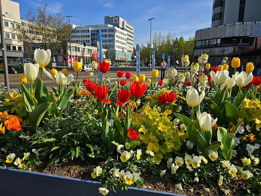 Die schiffartigen Kübel bringen den Frühling in die Innenstadt. Die schiffartigen Kübel bringen den Frühling in die Innenstadt.