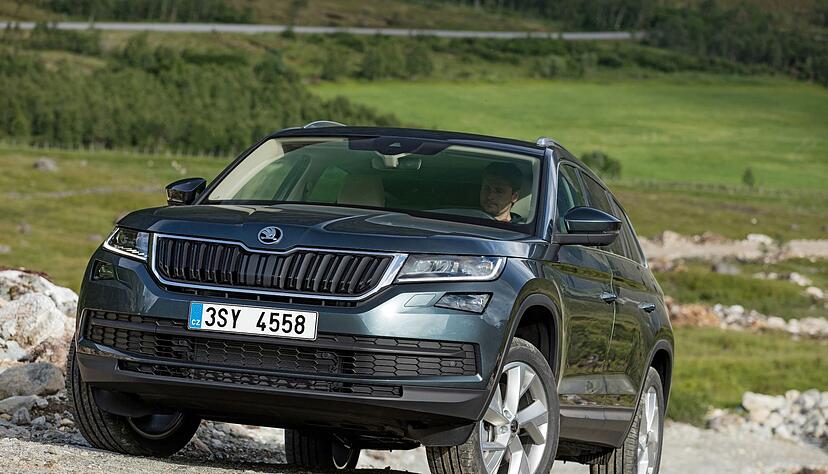 Großes «Brumm-Brumm» aus Tschechien: Mit dem Namen Kodiaq nimmt Skoda Bezug auf den Kodiakbären.