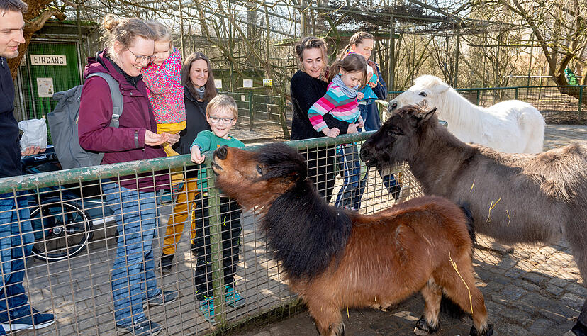 Der Leintalzoo in Schwaigern hat die Fair Family-Auszeichnung als besonders familienfreundliches Unternehmen erhalten.