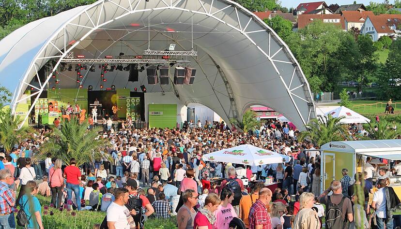 Ob zu Max Mutzke oder zur Schlagerparty (im Bild): Die Menschen brachten zu den Laga-Events in &Ouml;hringen oft Picknick-Decken oder St&uuml;hle mit.
Foto: Archiv