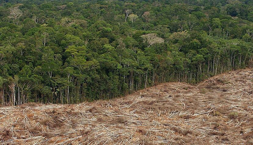 Abholzung des Regenwalds im Amazonasgebiet in Brasilien. Abholzung des Regenwalds im Amazonasgebiet in Brasilien.