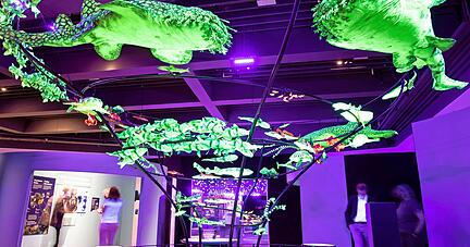 Besonderheiten in der neuen Experimenta-Ausstellung Ozeane: Mit UV-Licht werden Lebewesen im Korallenriff (li.) angestrahlt. In einem Forscher-Tauch-U-Boot darf man auch mal Platz nehmen.
Fotos: Andreas Veigel