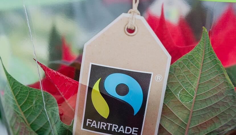 Die Umsätze im Handel mit fair gehandelten Produkten sind im vergangenen Jahr weiter gestiegen.