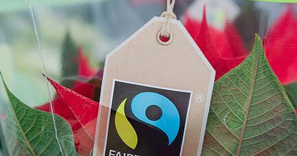 Die Umsätze im Handel mit fair gehandelten Produkten sind im vergangenen Jahr weiter gestiegen.