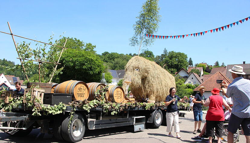 Ein Mammut aus Heu, das vom örtlichen Mammutstüble kreiert wurde. Das Stüble feiert ebenso wie der ganze Ort Bieringen ein Jubiläum: Es existiert sei 25 Jahren.