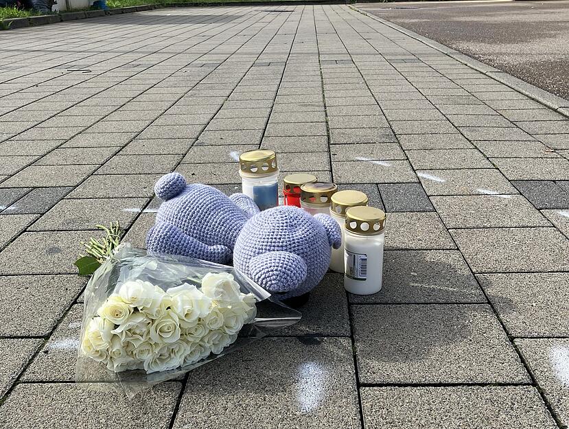 Nach einem mutmaßlichen Streit sollen sich die beiden Älteren in einen Audi gesetzt haben und den Kindern gefolgt sein. Der 18-jährige mutmaßliche Fahrer habe daraufhin den 12-Jährigen auf seinem Fahrrad angefahren. Dieser wurde dadurch tödlich verletzt.