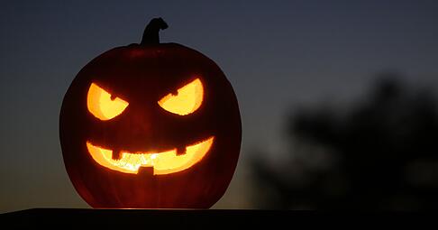 Kürbisköpfe stehen an Halloween hoch im Kurs, gleichzeitig halten Protestanten am 31. Oktober die Reformation hoch -- und Katholiken gedenken tags darauf ihrer Toten. Foto: dpa