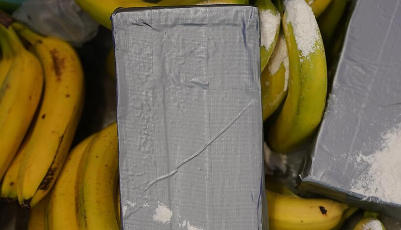 Große Kokain-Lieferungen aus Südamerika werden häufig unter Bananen versteckt. (Symbolbild) Große Kokain-Lieferungen aus Südamerika werden häufig unter Bananen versteckt. (Symbolbild)