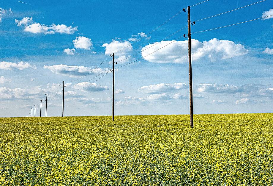 Natur und Zivilisation auf einem Motiv vereint: Das Bild von Heimatreporter Erwin Weigend entstand im Zabergäu. Natur und Zivilisation auf einem Motiv vereint: Das Bild von Heimatreporter Erwin Weigend entstand im Zabergäu.