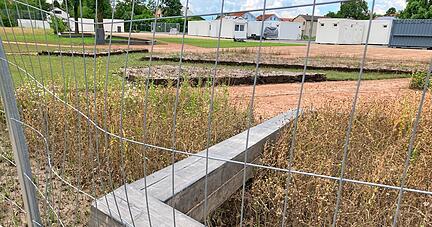 Zahlreiche der schweren polygonalen Beeteinfassungen sind aufgrund des Hochwassers aufgeschwemmt und teilweise dutzende Meter weggeschwemmt worden. Die Holzkonstruktionen sind nicht mehr zu gebrauchen.
Fotos: Jörg Kühl