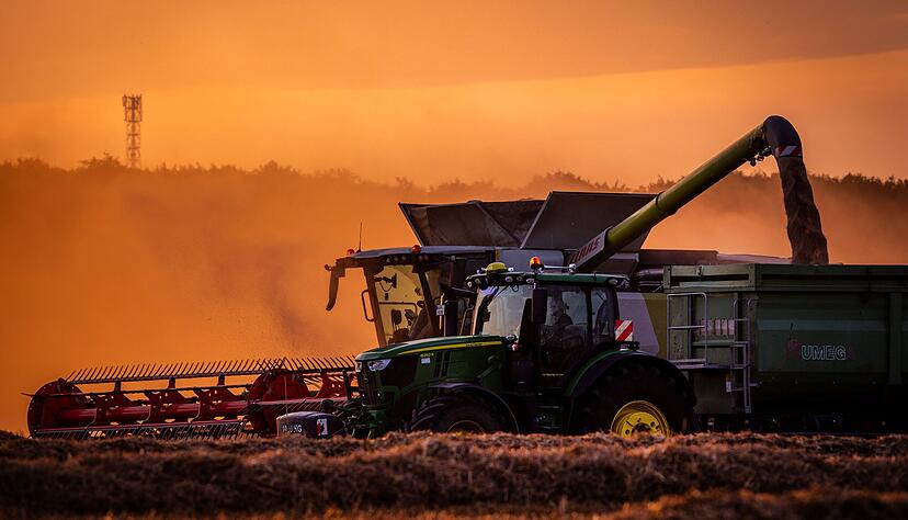 Je nach Erntezeitpunkt waren die Landwirte mit dem Ertrag sehr zufrieden - oder eben auch nicht. Konnte erst nach dem Regen gedroschen werden, kam teils nur Futterweizen vom Feld.