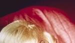 Ihre komischen Rollen sind unvergessen: Schauspielerin Doris Day.Foto: dpa