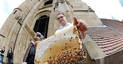 Honig auf der Kilianskirche Honig auf der Kilianskirche