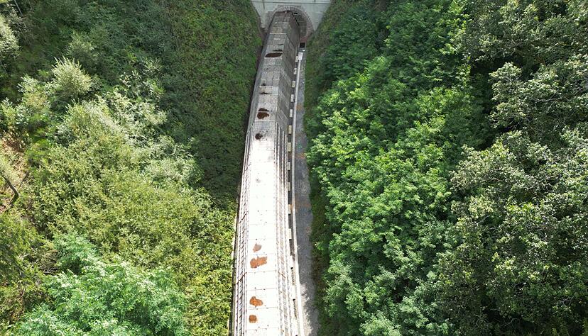 Startschuss f&uuml;r die reaktivierte Hermann-Hesse-Bahn im Nordschwarzwald (Archivbild)