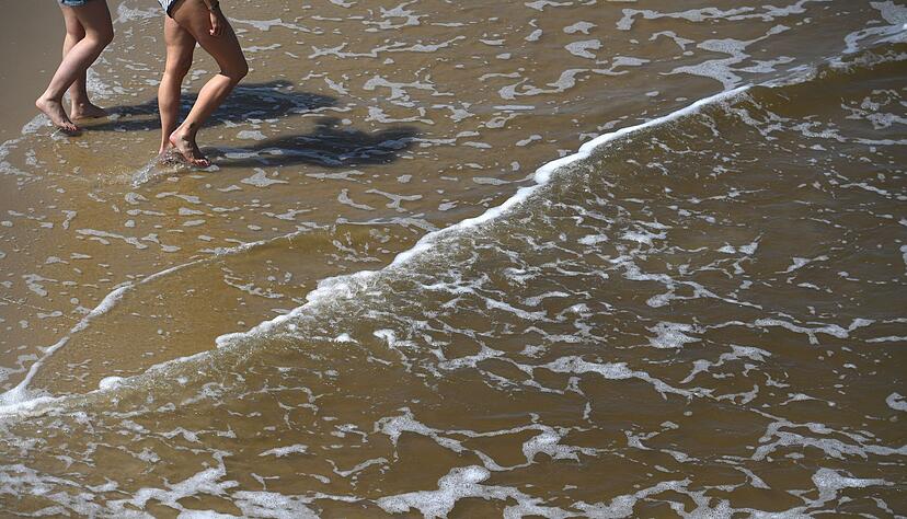 Mit der sommerlichen Hitze steigt das Risiko für Vibrionen-Infektionen an Nord- und Ostsee. Mit der sommerlichen Hitze steigt das Risiko für Vibrionen-Infektionen an Nord- und Ostsee.