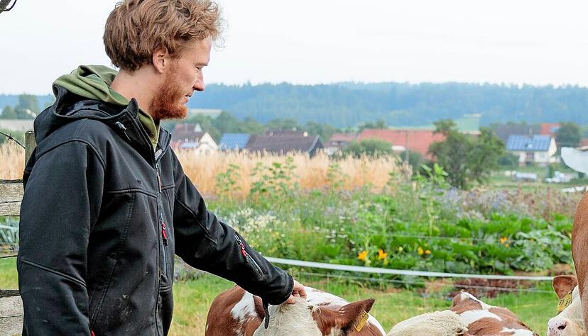 Mit dem Bruderkalb-Projekt hat die Bio-Musterregion gepunktet.
Foto: privat