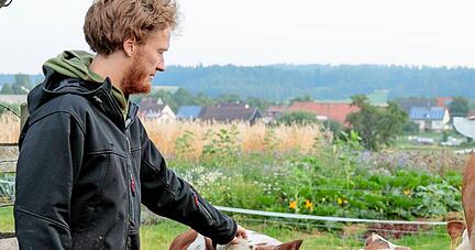 Mit dem Bruderkalb-Projekt hat die Bio-Musterregion gepunktet.
Foto: privat