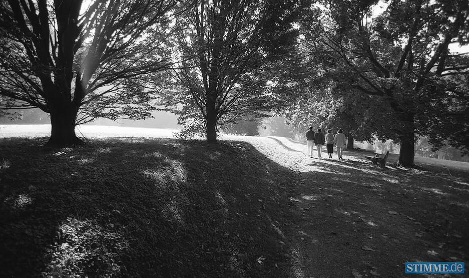 1986: Erholsam ist ein Spaziergang unter Schatten spendenden Bäumen des parkähnlich angelegten Gedenkortes.