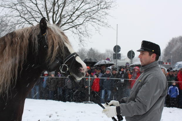 Pferdemarkt Öhringen | 16.02. Pferdemarkt Öhringen | 16.02.
