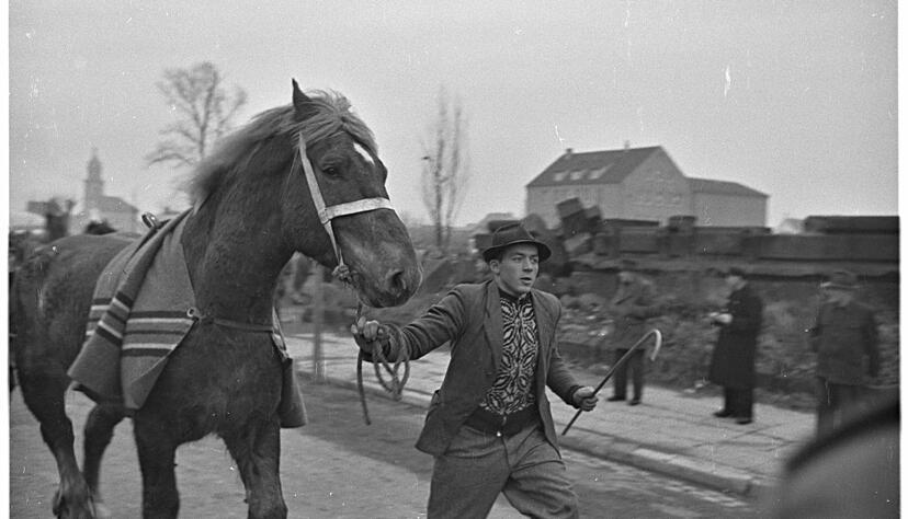 Zusammengestellt von Archiv und Dokumentation der Heilbronner Stimme 

Am 27. Februar 1950 gibt es erstmals seit 1939 wieder einen Heilbronner Pferdemarkt. Auf der Aufnahme aus dem Jahr 1951 ist im Hintergrund links der Hafenmarktturm zu sehen.