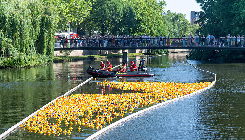 Die 5000 Quietscheentchen beim Heilbronner Entenrennen auf dem Weg von der Friedrich-Ebert-Brücke zur Neckarbühne unter dem Weinpavillon. Die 5000 Quietscheentchen beim Heilbronner Entenrennen auf dem Weg von der Friedrich-Ebert-Brücke zur Neckarbühne unter dem Weinpavillon.