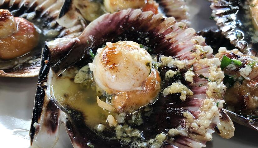 Eine in ihrer eigenen Schale gratinierte und servierte Jakobsmuschel ist auch optisch ein Leckerbissen.