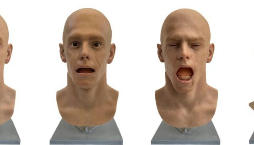 Gähnen ist ansteckend - selbst wenn ein Roboterkopf der Auslöser ist. (Handout) Gähnen ist ansteckend - selbst wenn ein Roboterkopf der Auslöser ist. (Handout)