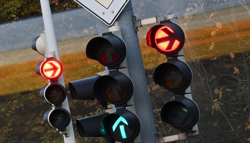 Ameisen legen eine Ampelsteuerung lahm. (Archivbild)