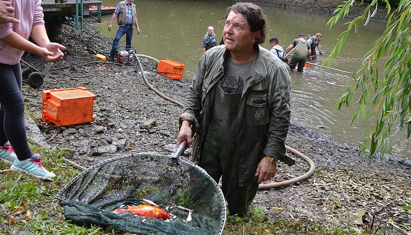 Dieser Goldfisch findet im Gartenteich ein neues Zuhause. Foto: Stefanie Pfäffle