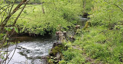 Foto: Archiv/Sabine Friedrich