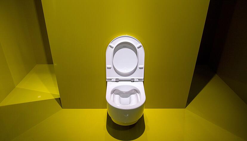 Tr&ouml;delt der Vermieter mit der Reparatur einer defekten Toilette, k&ouml;nnen Mieter die Instandsetzung in Eigenregie veranlassen.