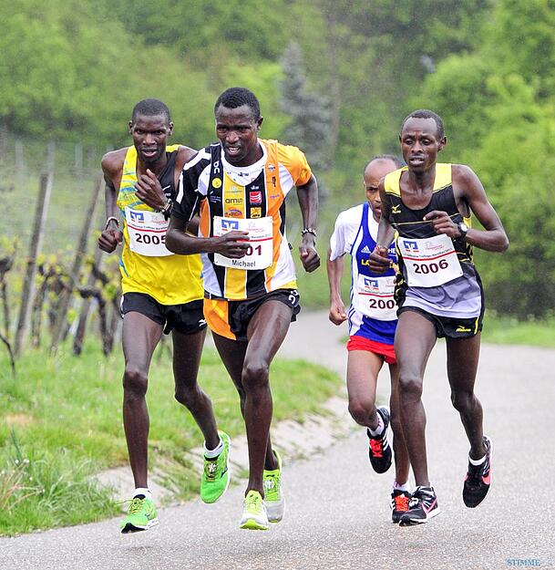 Trollinger Marathon: Marathon und Halbmarathon | 7.5.