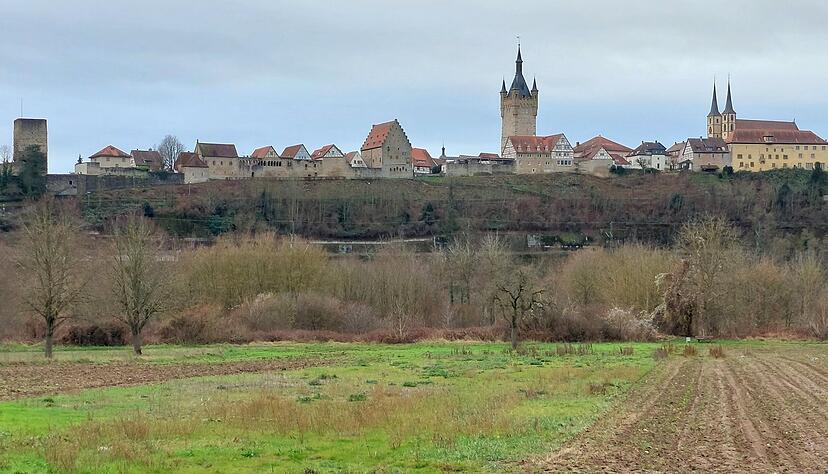 Weil die Windr&auml;der die Silhouette der Altstadt in erheblichem Ma&szlig; st&ouml;ren w&uuml;rden, stie&szlig; der Planentwurf zur Ausweisung von Vorrangfl&auml;chen auf Ablehnung.