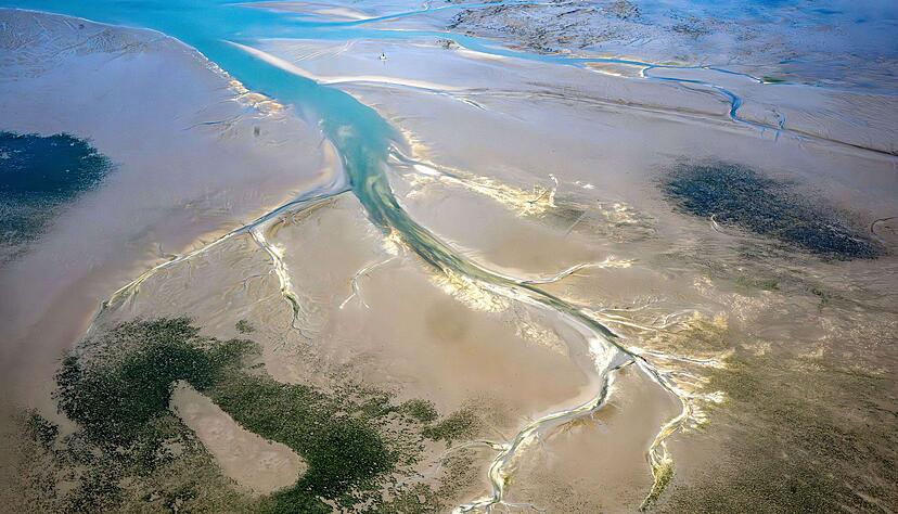 Die Situation im Wattenmeer ist einer Studie zufolge ernster als bisher angenommen. (Archivbild)