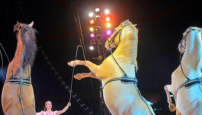 Dompteurin Jana Mandana ist auch Juniorchefin des Zirkuses.