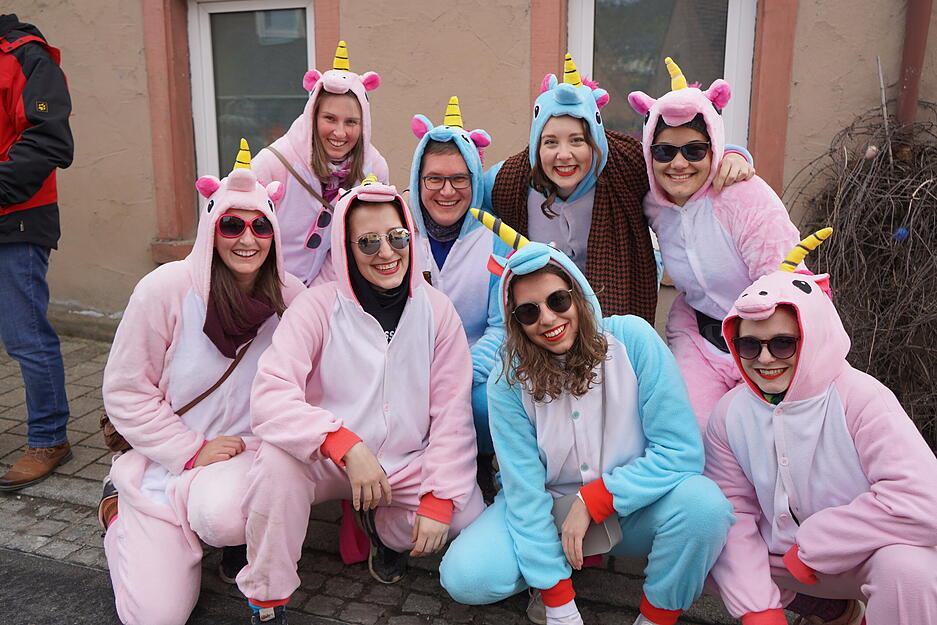 Faschingsumzug D&ouml;rzbach