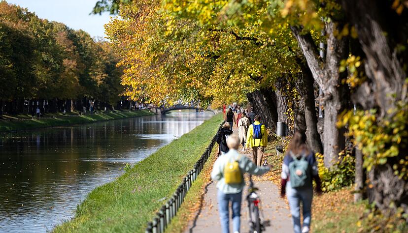 Nicht nur im Nymphenburger Park - in Parks mit alten B&auml;umen und vielen Wildtieren f&uuml;hlen sich auch Zecken wohl. (Archivfoto)