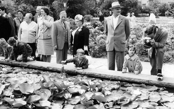 Juli 1965. Viel beachtet  - und immer wieder als Motiv für Amateur-Fotografen auserkoren - wird das Becken mit den blühenden Seerosen.